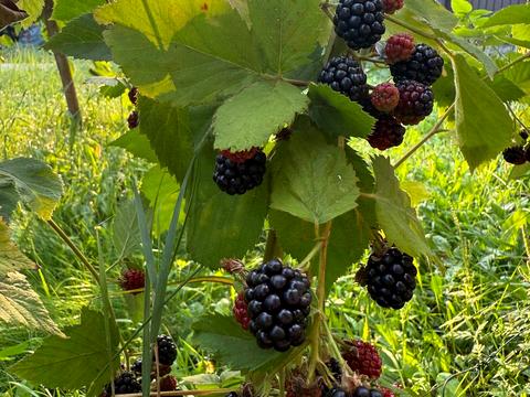 будинок за адресою Озерна