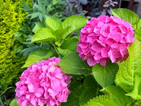 будинок за адресою Озерна