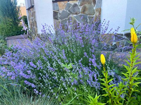 будинок за адресою Озерна