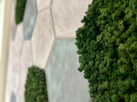 будинок за адресою Шептицького вул., 62