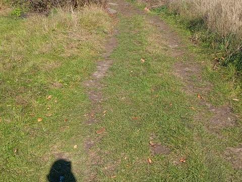 участок по адресу Ст. Бандери