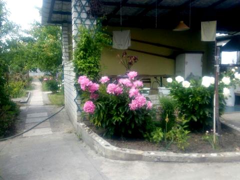 дом по адресу шевченко