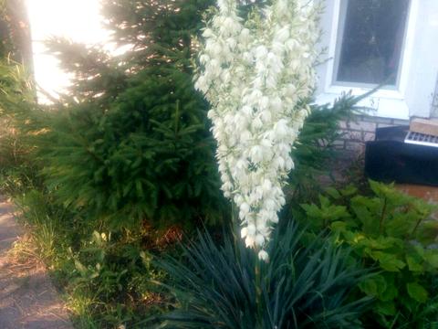 будинок за адресою шевченко