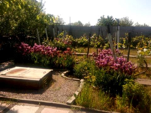 дом по адресу шевченко