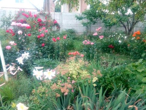 дом по адресу шевченко