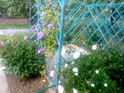 дом по адресу шевченко