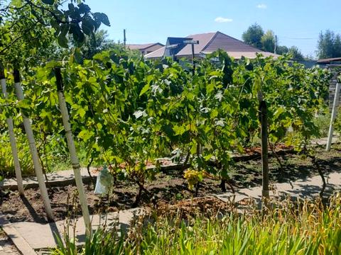 дом по адресу шевченко