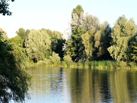 дом по адресу Октябрьская ул.