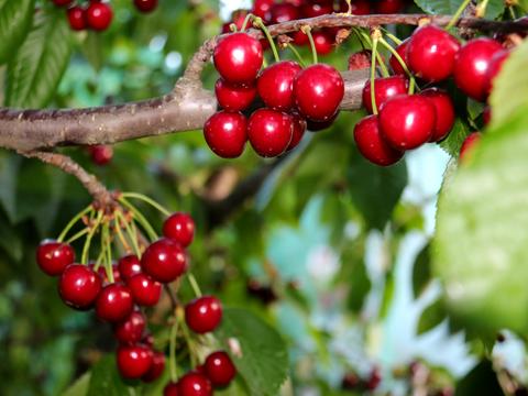 дом по адресу Октябрьская ул.