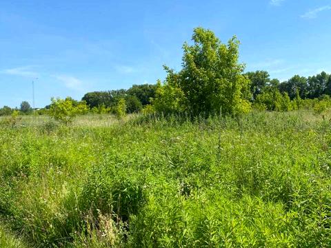 ділянка за адресою Копистинське шосе