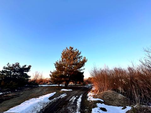 участок по адресу с. Вороцев, 