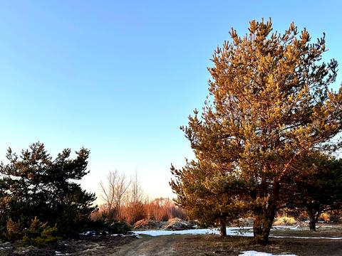 участок по адресу с. Вороцев, 