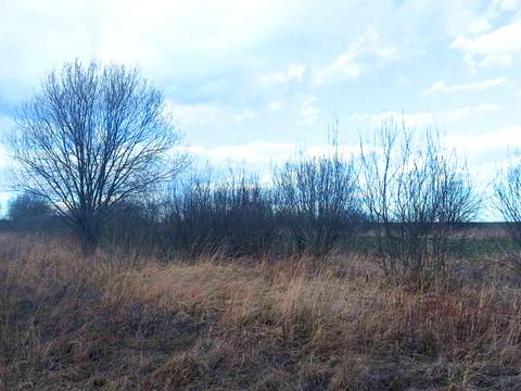 участок по адресу річна