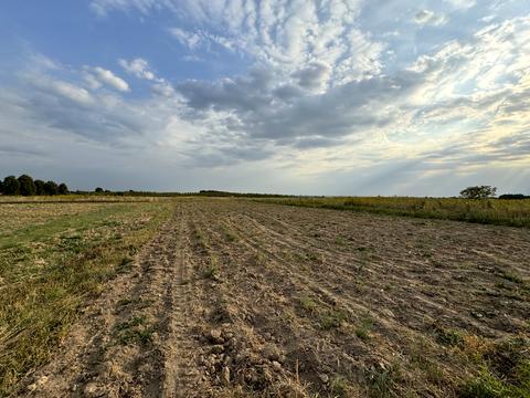 участок по адресу Житомирская ул. (Ватутіна)