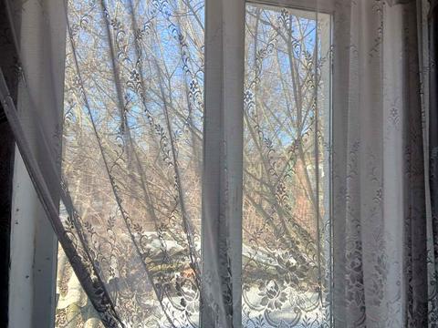 дом по адресу Партизанська