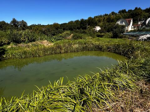 ділянка за адресою с. Лісники, Вітряні Гори вул.