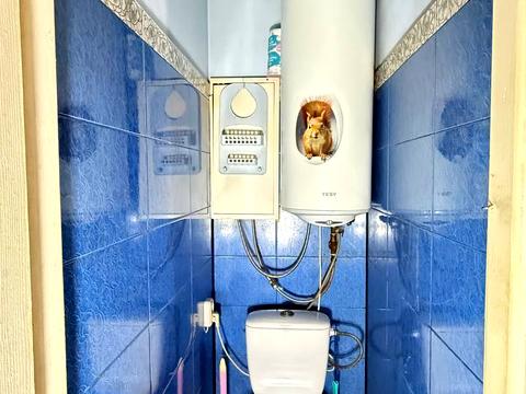 квартира за адресою Дніпро, Слобожанський просп. (Газети "Правда"), 10