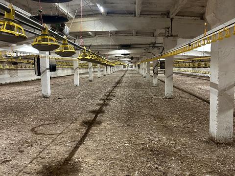 комерційна за адресою Шкільна, 50