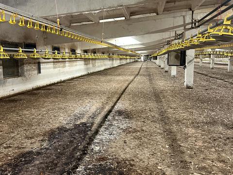 комерційна за адресою Шкільна, 50