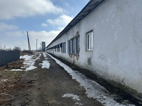 комерційна за адресою Шкільна, 50