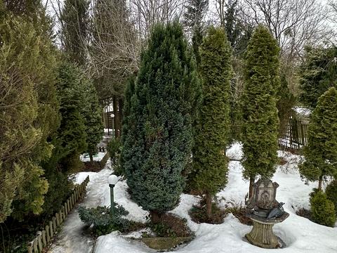 дом по адресу Петрозаводская ул., 109