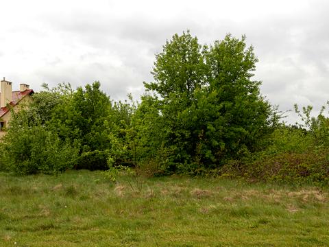 ділянка за адресою Лісна вул.