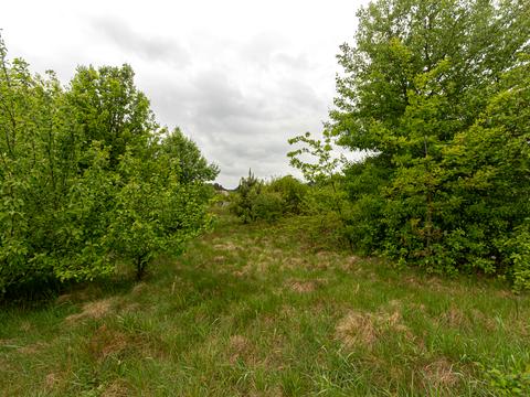 ділянка за адресою Лісна вул.