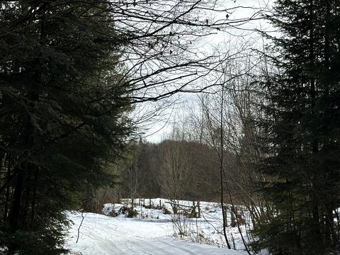 ділянка за адресою с. Мигове, Солонецька