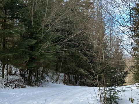 ділянка за адресою с. Мигове, Солонецька