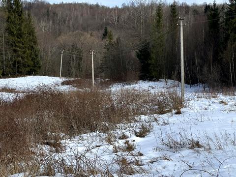 ділянка за адресою с. Мигове, Солонецька
