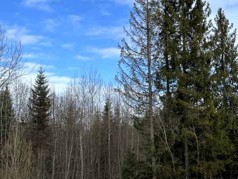 ділянка за адресою с. Мигове, Солонецька