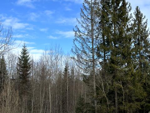 ділянка за адресою с. Мигове, Солонецька