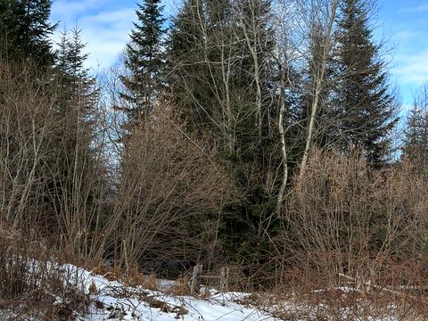 ділянка за адресою с. Мигове, Солонецька