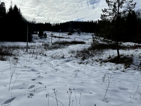 ділянка за адресою с. Мигове, Солонецька