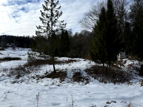 ділянка за адресою с. Мигове, Солонецька