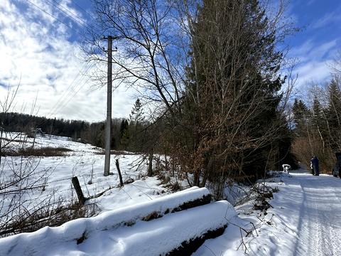 ділянка за адресою с. Мигове, Солонецька