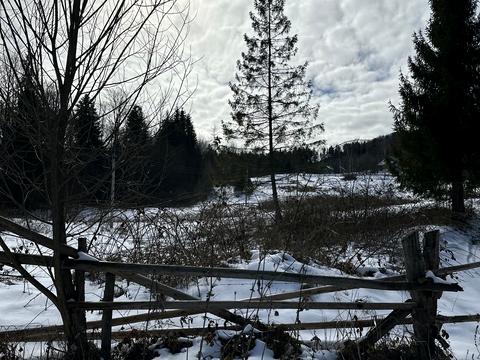 ділянка за адресою с. Мигове, Солонецька