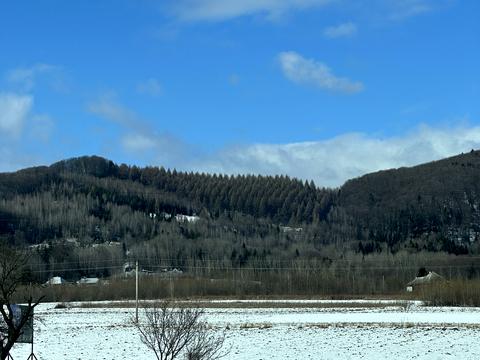 ділянка за адресою с. Мигове, Солонецька