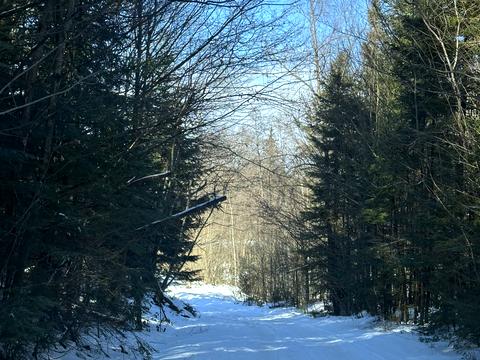 ділянка за адресою с. Мигове, Солонецька