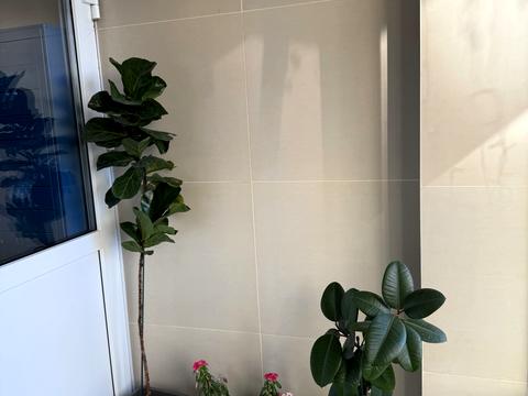 квартира за адресою Степана Рудницького вул. (Академіка Вільямса), 19/14