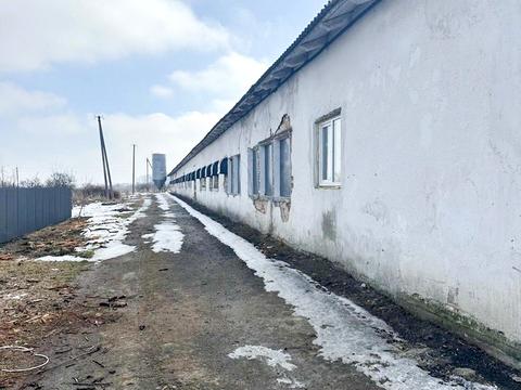 коммерческая по адресу Сільська, 1