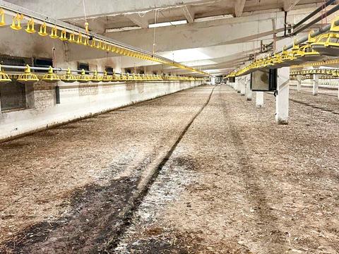 коммерческая по адресу Сільська, 1