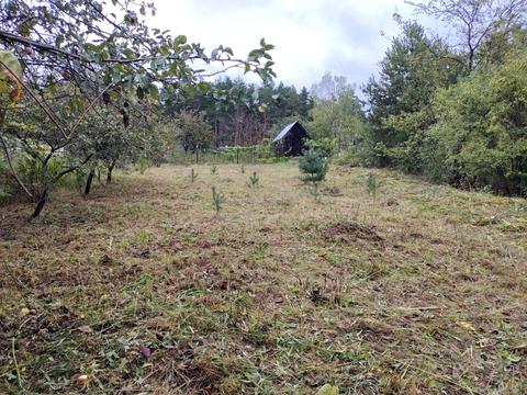 ділянка за адресою 