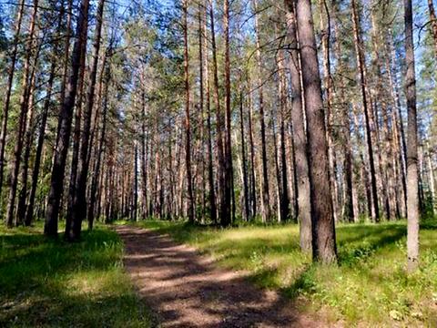 будинок за адресою Столичне шосе