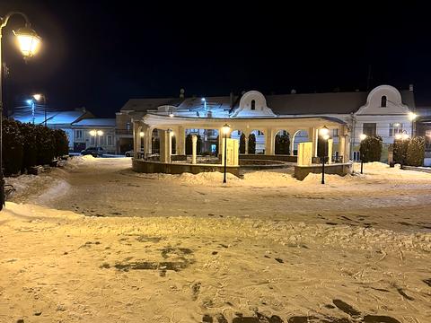 квартира за адресою Івана Дудича вул. (Рози Люксембург), 8