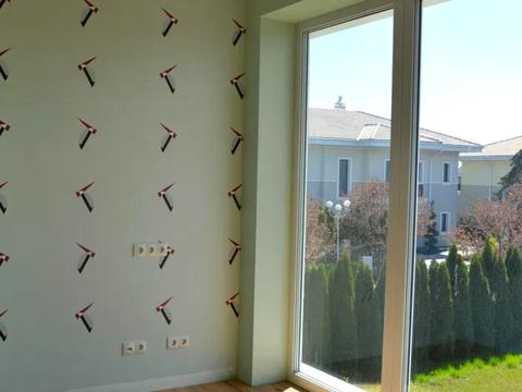 дом по адресу с. Вишенки, квітуча