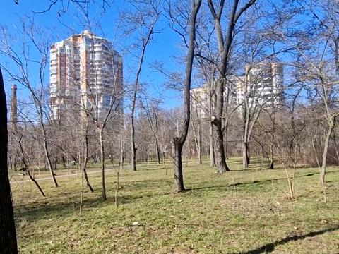 квартира за адресою Шевченка просп., 12/1