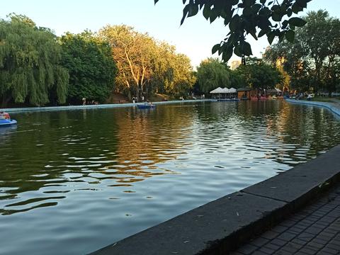 квартира за адресою Шевченка просп., 12/1