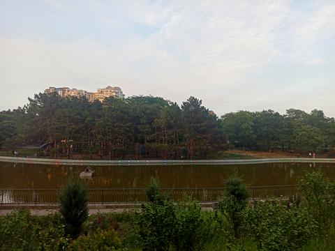 квартира за адресою Шевченка просп., 12/1