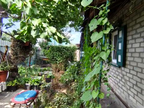 будинок за адресою Богданова